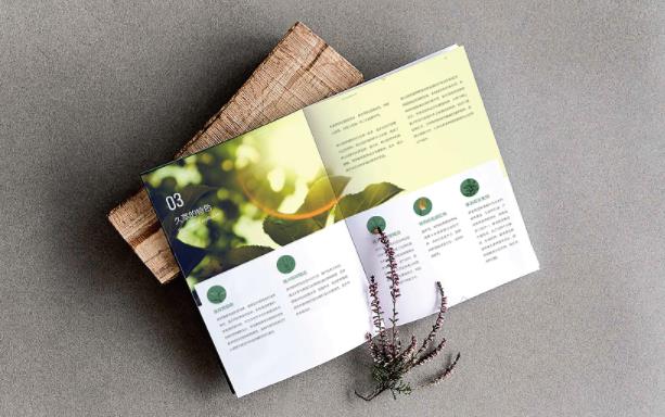 產(chǎn)品畫冊(cè)  第4張