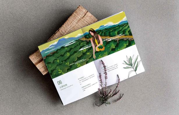 產(chǎn)品畫冊(cè)  第7張