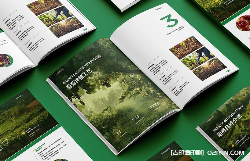 上海產品畫冊印刷避坑指南：文件規范、工期把控與質量驗收要點
